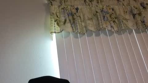 sissy slut boobi online show from April 21, 2026, 10:01 pm