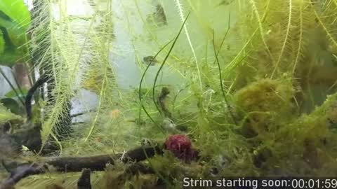 Booker Baxton online show from December 5, 2024, 4:09 am