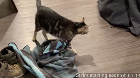 Booker Baxton online show from December 28, 2024, 4:08 am