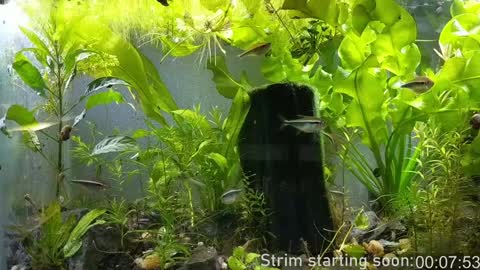 Booker Baxton online show from January 8, 2025, 4:02 am