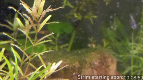 Booker Baxton online show from January 19, 2025, 4:01 am