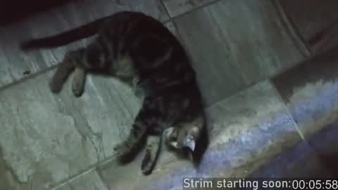 Booker Baxton online show from February 15, 2025, 4:03 am