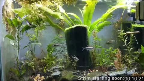 Booker Baxton online show from September 23, 2025, 2:58 am