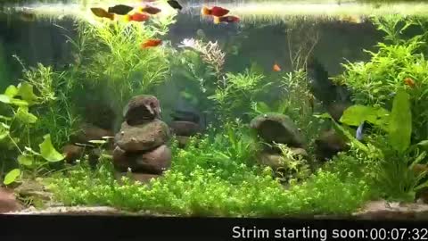 Booker Baxton online show from October 7, 2025, 3:04 am