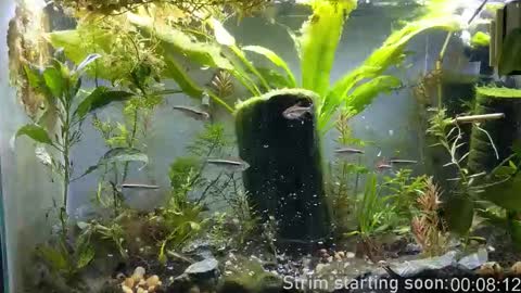 Booker Baxton online show from November 4, 2025, 4:00 am