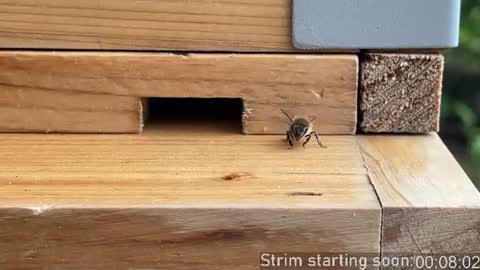 Booker Baxton online show from July 15, 2026, 3:01 am