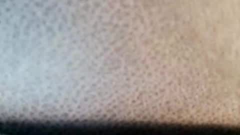 Boolika online show from March 11, 2025, 10:53 pm