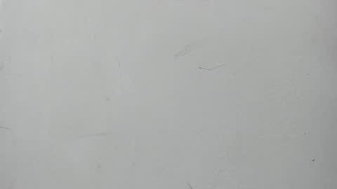 Maggie and Jay  online show from January 11, 2025, 7:05 pm