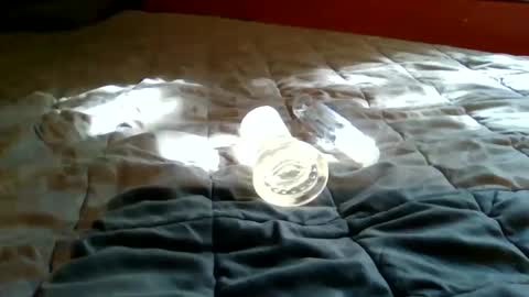 Bootsy online show from September 22, 2025, 7:49 pm