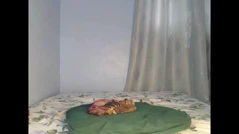 sandrah online show from September 26, 2025, 6:50 am