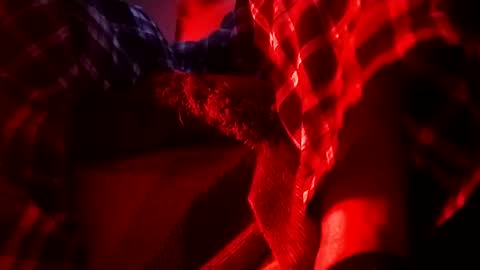 boredaf6678 online show from February 1, 2025, 6:32 am