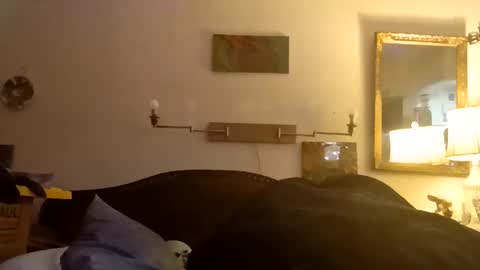 boredaf6678 online show from December 16, 2025, 1:10 am