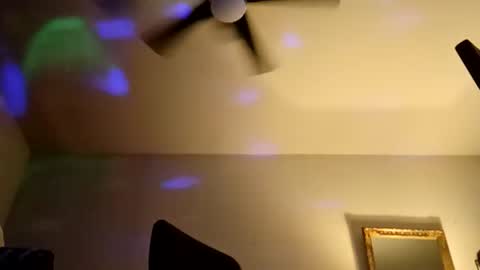 boredaf6678 online show from April 3, 2026, 12:41 am