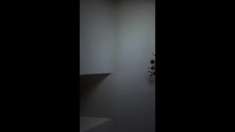 boris96213 online show from June 4, 2026, 1:33 am