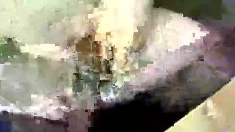 bossram160 online show from September 17, 2025, 8:21 pm