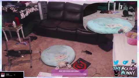 TheBoundBunny online show from March 7, 2026, 1:13 am