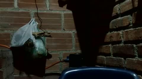 Boy online show from October 7, 2025, 2:53 am