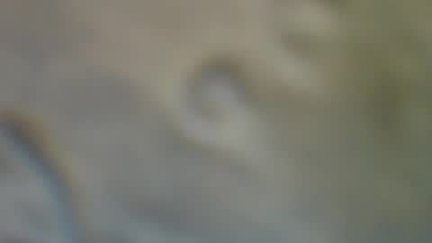 Snapshot of bradynoggle chatting on September 11, 2025, 2:55 am bradynoggle online show from September 11, 2025, 2:55 am