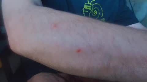 brainrrawtt online show from March 11, 2025, 8:52 am