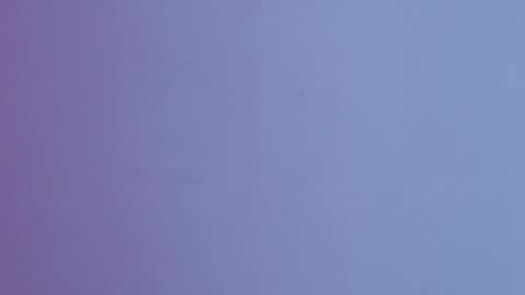 Brandy online show from December 20, 2025, 11:06 am