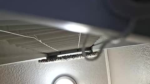 breeze316 online show from November 6, 2025, 11:11 am