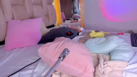 Branda online show from February 23, 2025, 2:35 pm