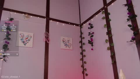 Brie  Ill be away November 2829 and 30. See u on Sunday for more fun online show from January 4, 2025, 7:13 pm