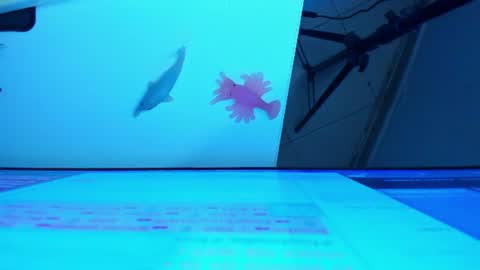 Snapshot of britanny_jones1 chatting on June 29, 2026, 5:57 am B R I T A N N Y online show from June 29, 2026, 5:57 am