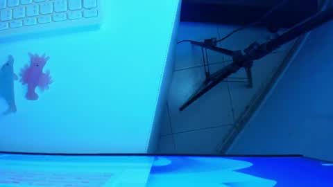 Snapshot of britanny_jones1 chatting on July 12, 2026, 8:16 am B R I T A N N Y online show from July 12, 2026, 8:16 am