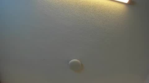 Brittany  online show from September 27, 2025, 7:30 pm