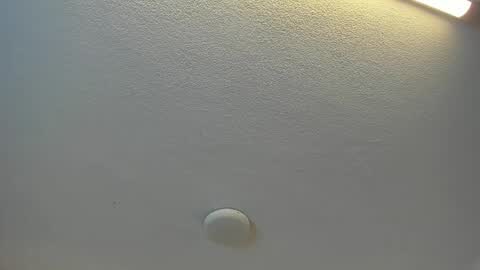 Brittany  online show from April 19, 2026, 7:38 pm