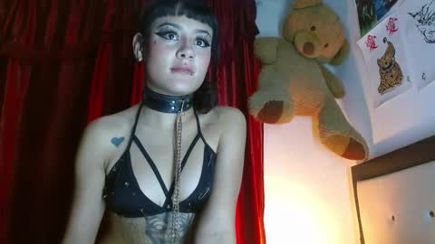 maru miaw   Please help me to reach 100 thumbs up online show from February 3, 2025, 6:56 am