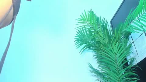 BRIYIT     online show from January 10, 2025, 5:58 am