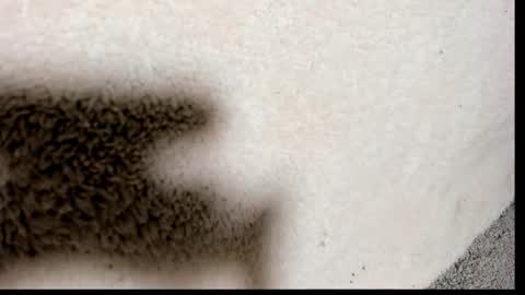 brockhurn_ online show from September 15, 2025, 2:00 am