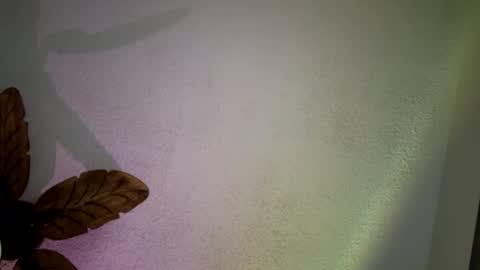 EtherealLilac online show from March 11, 2025, 3:23 pm