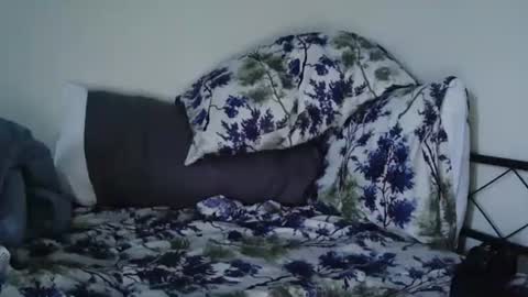 Bruc12168 fit slim new makemecum bigdick edging online show from February 20, 2025, 12:04 pm