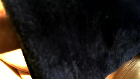 Snapshot of buck_shot chatting on March 15, 2026, 3:40 pm Buck online show from March 15, 2026, 3:40 pm