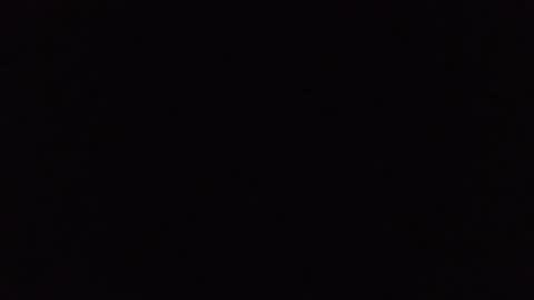 Buck Wessle online show from October 24, 2025, 2:02 pm