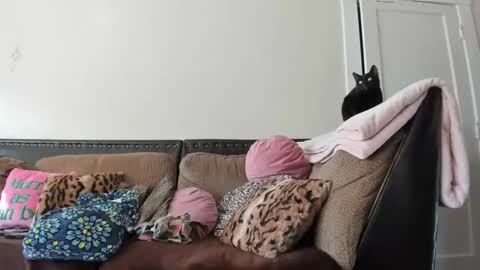 Buffy online show from December 2, 2024, 6:32 pm