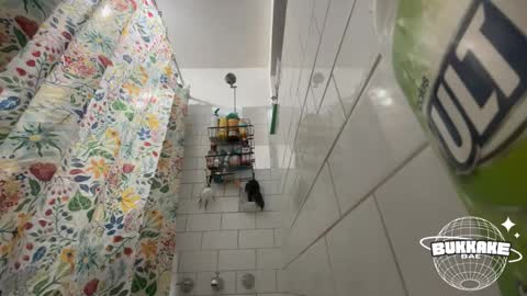 bukkakebae online show from September 11, 2025, 8:20 pm