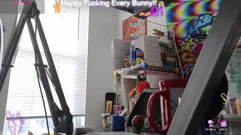 Tokki  bunny  online show from January 16, 2025, 7:20 pm