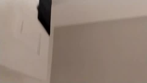 BunnyXPurry online show from November 15, 2025, 5:05 am