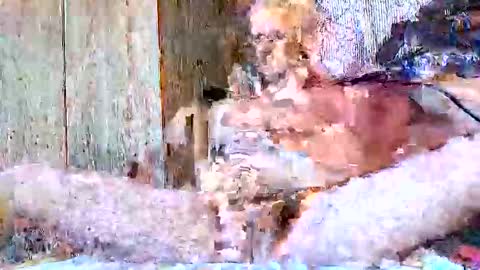 burnzart online show from September 22, 2025, 8:33 pm