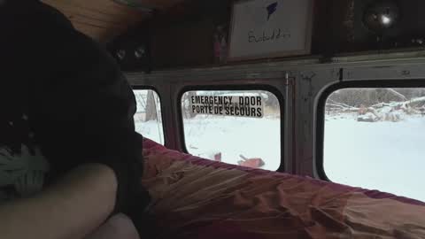 busbuddies online show from December 29, 2024, 4:19 pm