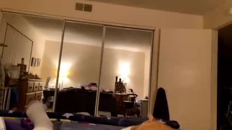 busty_2008 online show from March 5, 2026, 5:47 am