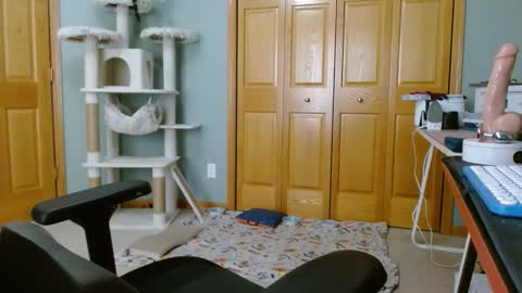 bxdieelatina online show from November 14, 2025, 6:39 pm