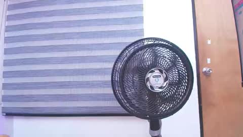 Carolina online show from February 19, 2025, 3:06 am