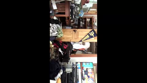 cabana1965 online show from March 2, 2026, 3:41 pm