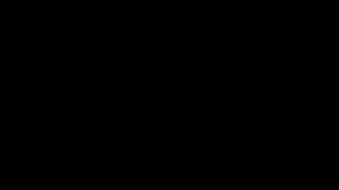 cabox online show from February 1, 2025, 9:43 am