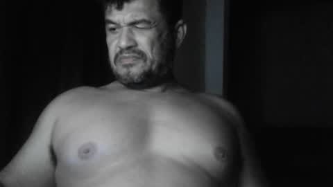 cafinfi1 online show from February 20, 2026, 2:41 am